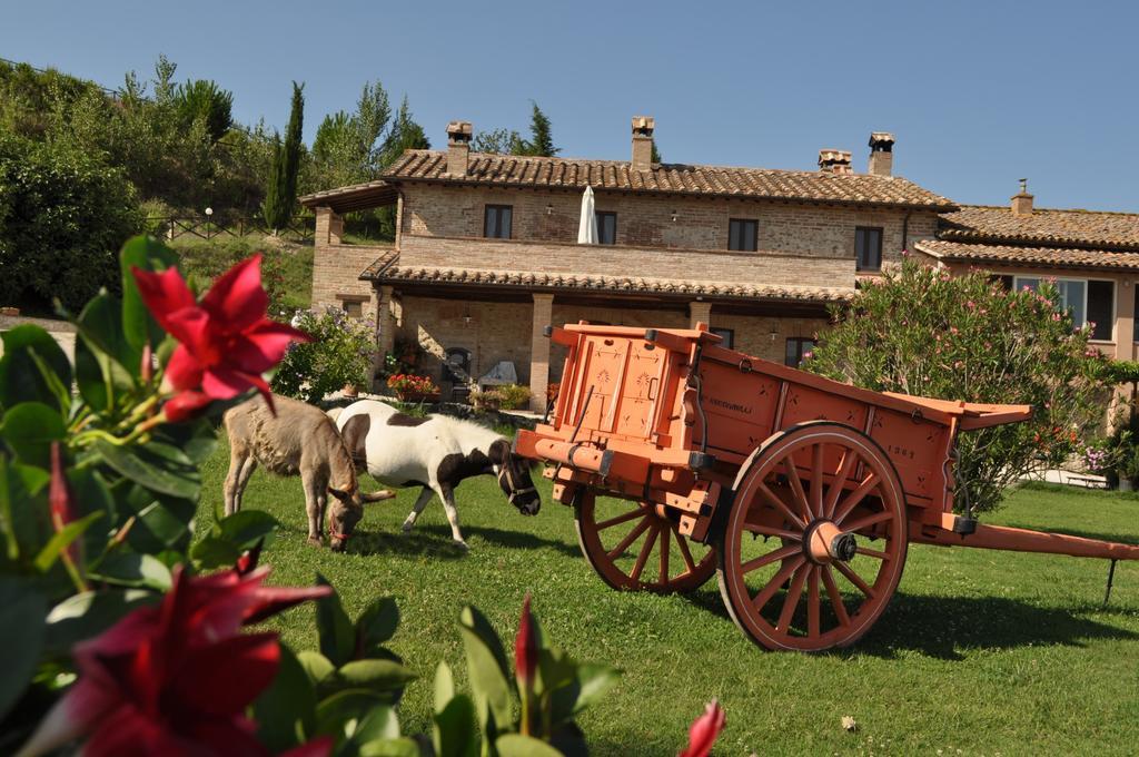 Farm Stay Il Carro Del Colle Колеваленца Екстериор снимка