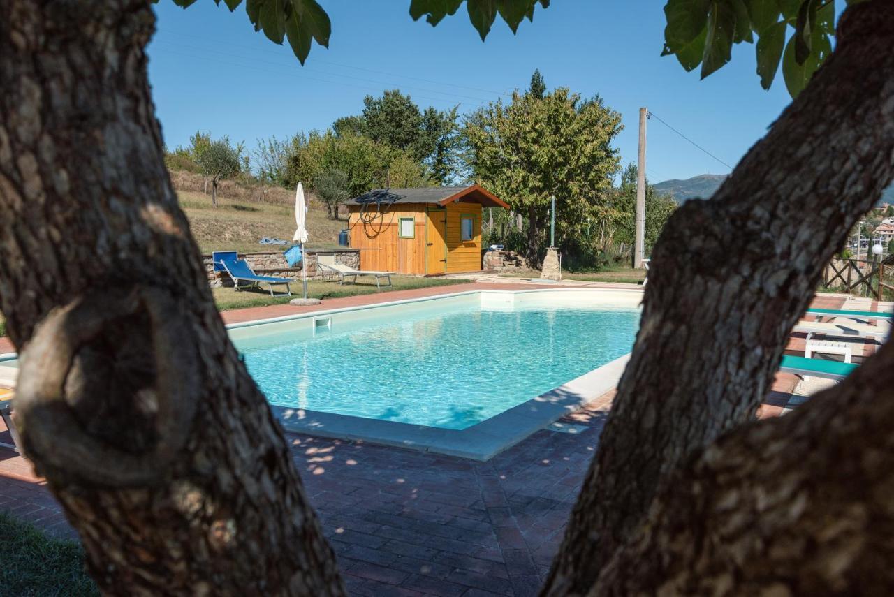 Farm Stay Il Carro Del Colle Колеваленца Екстериор снимка